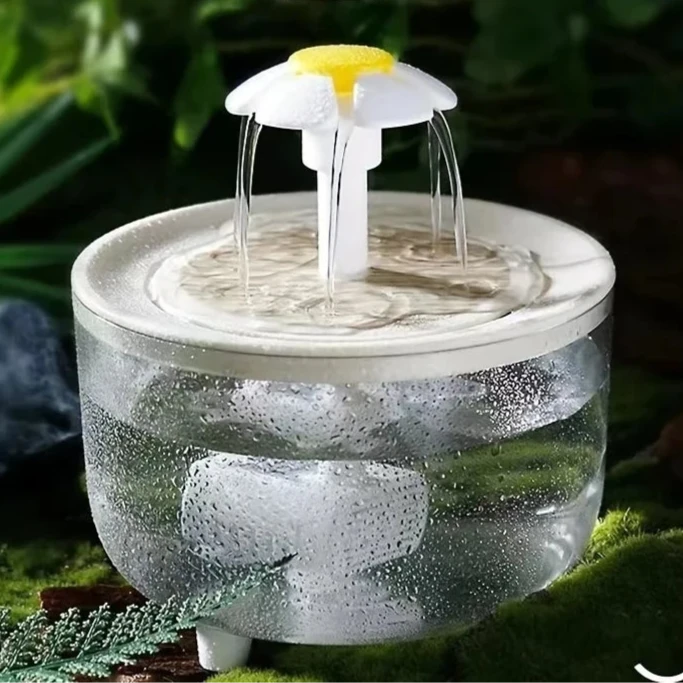 Fontaine à Eau pour Chat