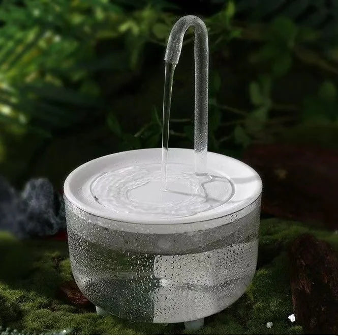 Fontaine à Eau pour Chat