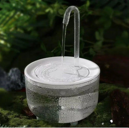 Fontaine à Eau pour Chat